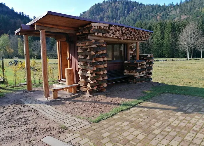 Chalet Pour Amoureux De La Nature Avec Vue Sur Le Lac De Retournemer