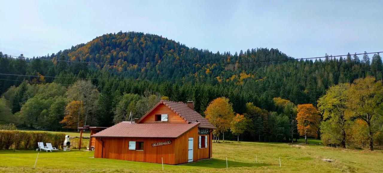Pour Amoureux De La Nature Avec Vue Sur Le De Retournemer Xonrupt-Longemer