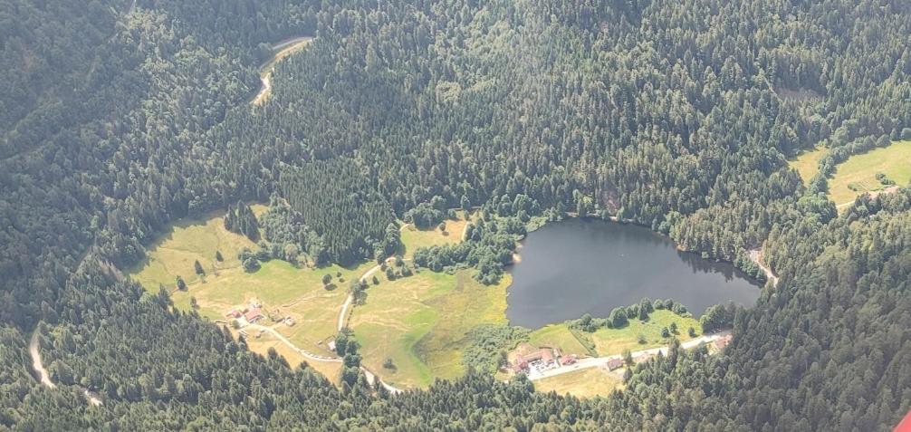 Pour Amoureux De La Nature Avec Vue Sur Le De Retournemer Chalet