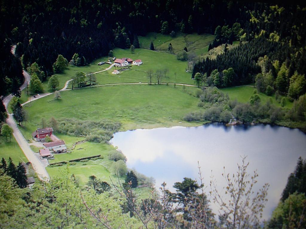 Pour Amoureux De La Nature Avec Vue Sur Le De Retournemer Chalet Xonrupt-Longemer