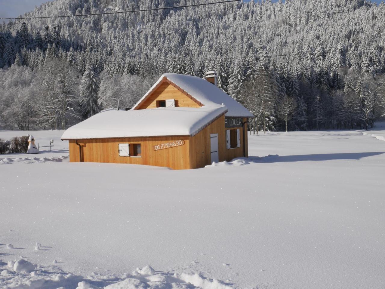 Pour Amoureux De La Nature Avec Vue Sur Le De Retournemer Chalet *