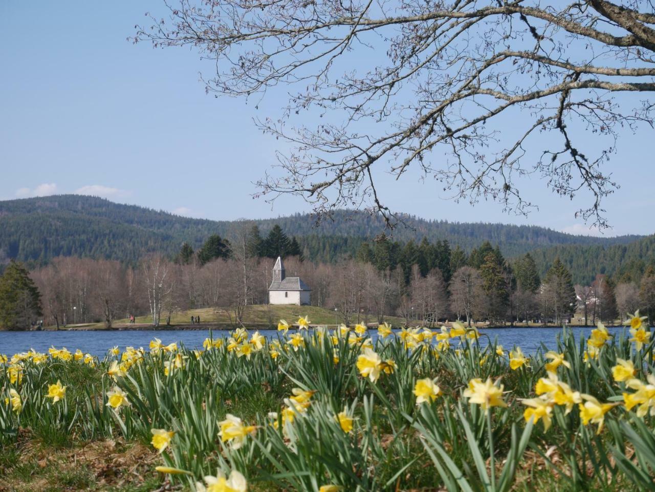 Chalet Pour Amoureux De La Nature Avec Vue Sur Le De Retournemer